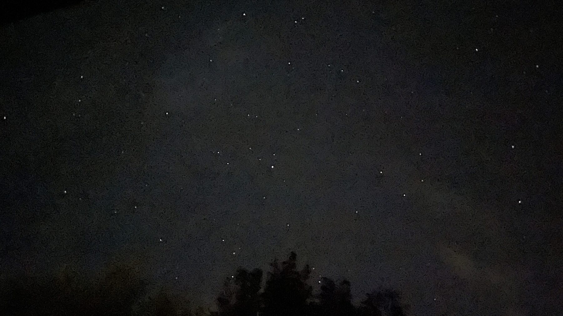 Sternenhimmel über dunklen Baumkronen im Umfeld des Grundstücks